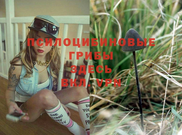 спайс Вязьма