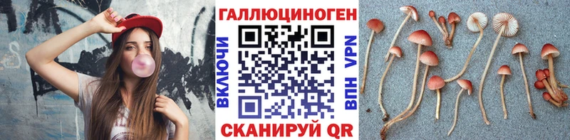 Псилоцибиновые грибы Psilocybe  Купить  Валдай 
